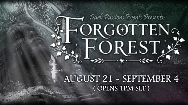 Forgotten Forest Is A Curious Path To Something New 행사 안내